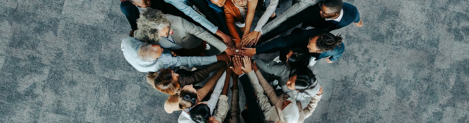 Évaluateurs et partenaires engagés autour du Label